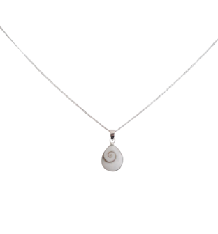 Shiva schelp ketting zilver 