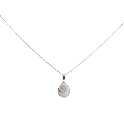 Shiva schelp ketting zilver 